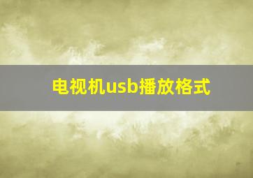 电视机usb播放格式