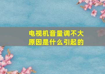 电视机音量调不大原因是什么引起的