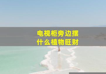 电视柜旁边摆什么植物旺财