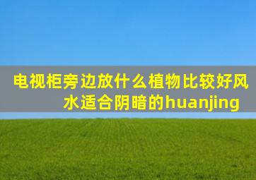 电视柜旁边放什么植物比较好风水适合阴暗的huanjing