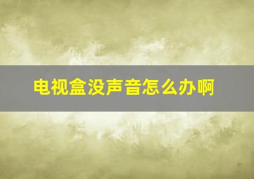 电视盒没声音怎么办啊