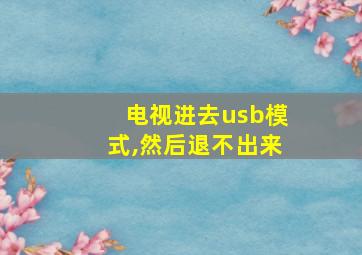 电视进去usb模式,然后退不出来