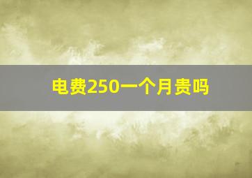 电费250一个月贵吗