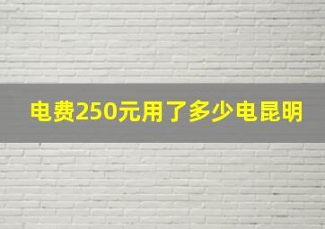 电费250元用了多少电昆明