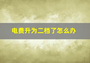 电费升为二档了怎么办