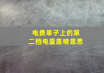 电费单子上的第二档电量是啥意思