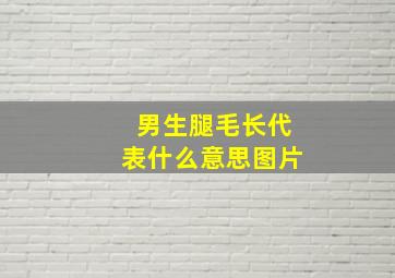 男生腿毛长代表什么意思图片