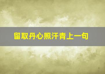 留取丹心照汗青上一句