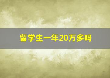 留学生一年20万多吗