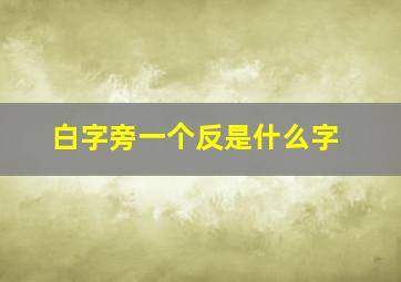 白字旁一个反是什么字