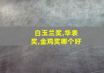 白玉兰奖,华表奖,金鸡奖哪个好