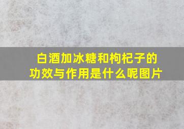 白酒加冰糖和枸杞子的功效与作用是什么呢图片