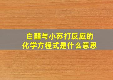 白醋与小苏打反应的化学方程式是什么意思