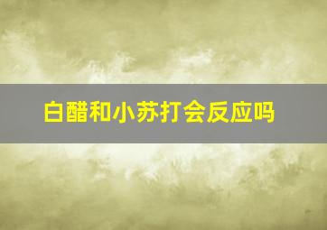 白醋和小苏打会反应吗