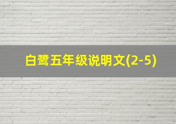 白鹭五年级说明文(2-5)