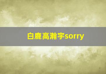 白鹿高瀚宇sorry