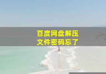 百度网盘解压文件密码忘了