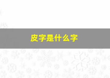 皮字是什么字