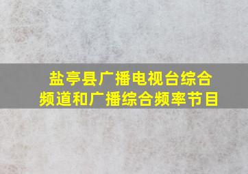 盐亭县广播电视台综合频道和广播综合频率节目