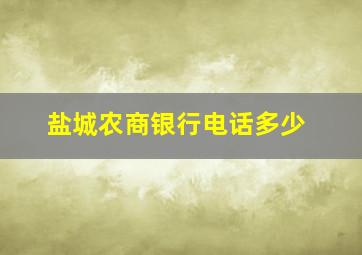 盐城农商银行电话多少