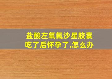 盐酸左氧氟沙星胶囊吃了后怀孕了,怎么办