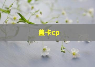 盖卡cp