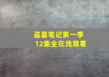 盗墓笔记第一季12集全在线观看