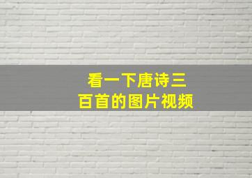 看一下唐诗三百首的图片视频