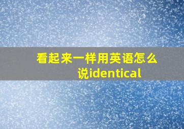 看起来一样用英语怎么说identical