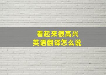 看起来很高兴英语翻译怎么说