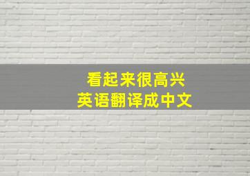 看起来很高兴英语翻译成中文