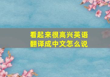 看起来很高兴英语翻译成中文怎么说