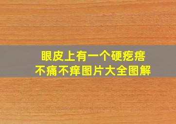 眼皮上有一个硬疙瘩不痛不痒图片大全图解