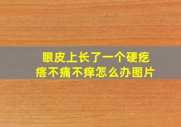 眼皮上长了一个硬疙瘩不痛不痒怎么办图片