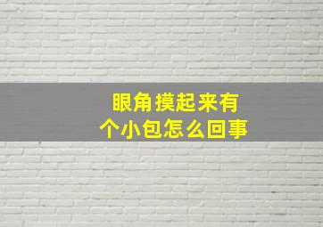 眼角摸起来有个小包怎么回事