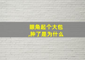 眼角起个大包,肿了是为什么