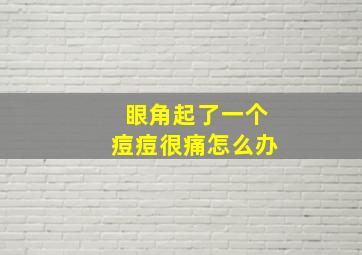 眼角起了一个痘痘很痛怎么办