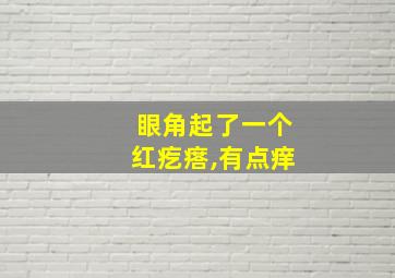 眼角起了一个红疙瘩,有点痒