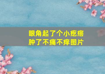 眼角起了个小疙瘩肿了不痛不痒图片