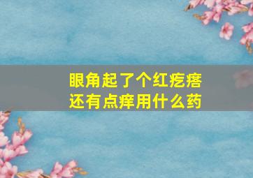 眼角起了个红疙瘩还有点痒用什么药