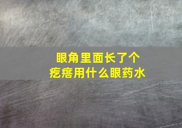 眼角里面长了个疙瘩用什么眼药水