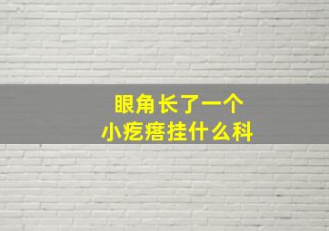 眼角长了一个小疙瘩挂什么科