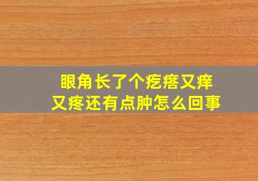 眼角长了个疙瘩又痒又疼还有点肿怎么回事