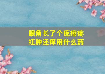 眼角长了个疙瘩疼红肿还痒用什么药