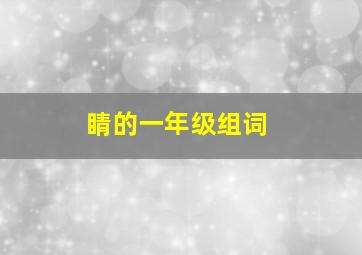 睛的一年级组词