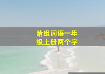 睛组词语一年级上册两个字