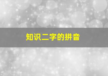 知识二字的拼音