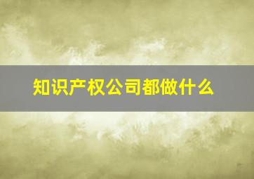 知识产权公司都做什么