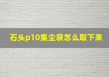 石头p10集尘袋怎么取下来