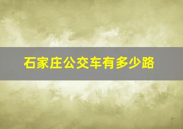 石家庄公交车有多少路